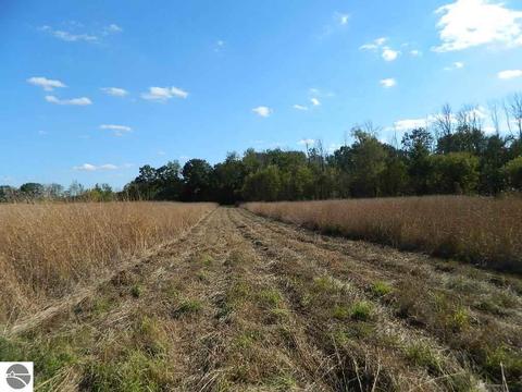 11650 W Remick Rd, Blanchard, MI 49310 photo 5