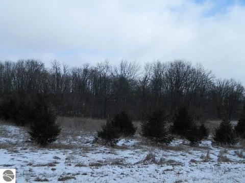 11650 W Remick Rd, Blanchard, MI 49310 photo 31