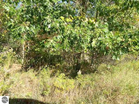 11650 W Remick Rd, Blanchard, MI 49310 photo 38