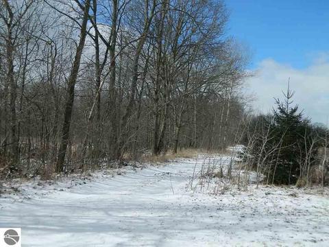 11650 W Remick Rd, Blanchard, MI 49310 photo 37