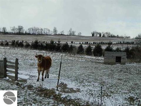 11600 W Remick Rd, Blanchard, MI 49310 photo 15