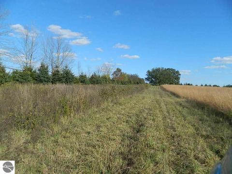 11600 W Remick Rd, Blanchard, MI 49310 photo 11