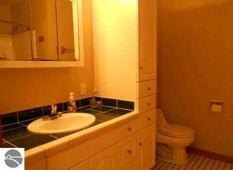 232 S Brown St, Ithaca, MI 48847 photo 12