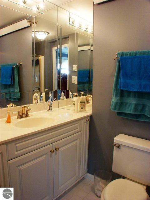 328 E Saint Charles Rd, Ithaca, MI 48847 photo 32