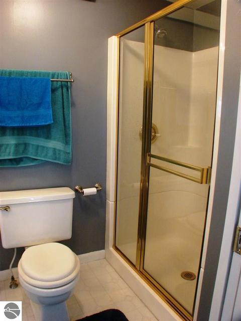 328 E Saint Charles Rd, Ithaca, MI 48847 photo 33