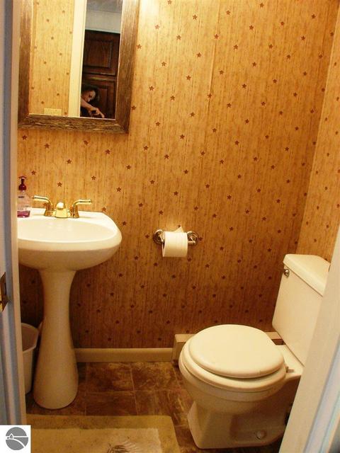 328 E Saint Charles Rd, Ithaca, MI 48847 photo 50
