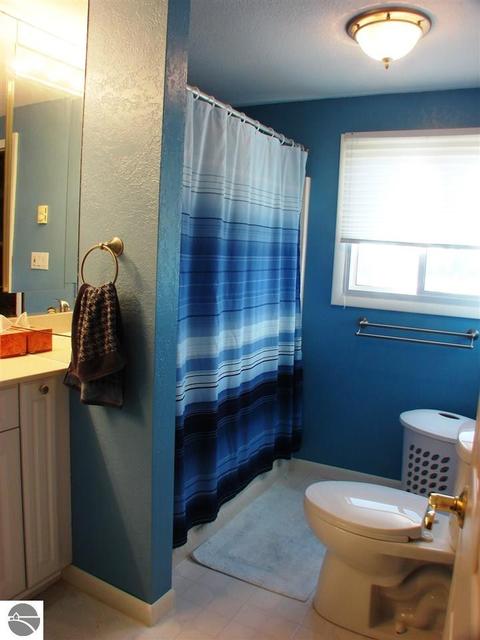 328 E Saint Charles Rd, Ithaca, MI 48847 photo 28