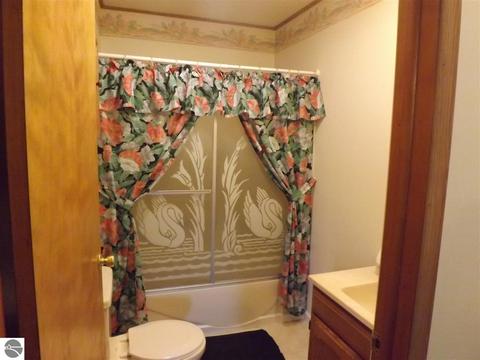 10795 Pine St, Sumner, MI 48889 photo 14