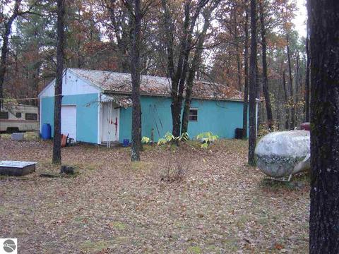 383 E 9 Mile Rd, Irons, MI 49644 photo 8