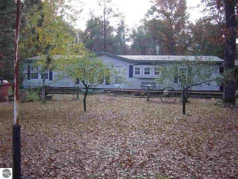 383 E 9 Mile Rd, Irons, MI 49644 photo 3