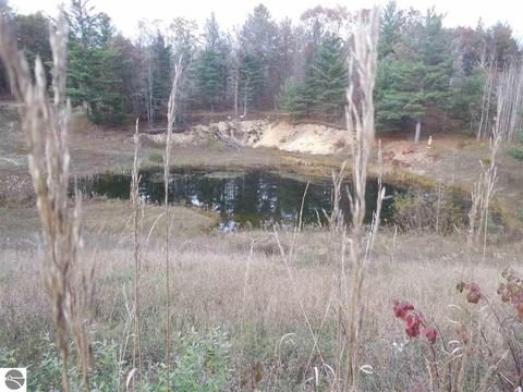185 County Farm Rd, Harrison, MI 48625 photo 50