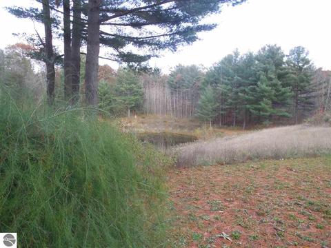 185 County Farm Rd, Harrison, MI 48625 photo 48