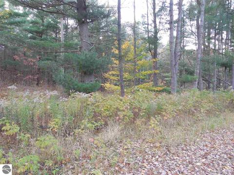 185 County Farm Rd, Harrison, MI 48625 photo 53