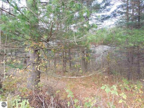 185 County Farm Rd, Harrison, MI 48625 photo 47