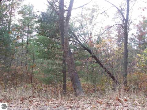 185 County Farm Rd, Harrison, MI 48625 photo 63