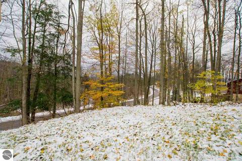 8442 S Rosinski Rd, Cedar, MI 49621 photo 41