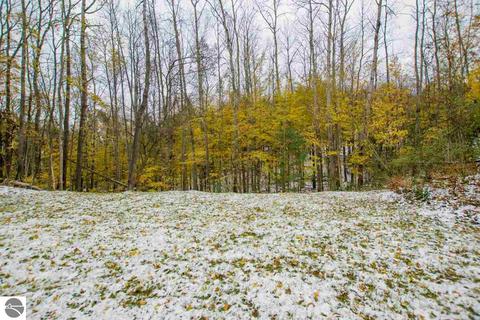 8442 S Rosinski Rd, Cedar, MI 49621 photo 40