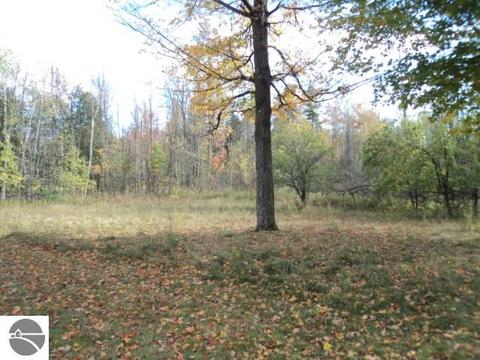 7379 W Dyer Rd, Twining, MI 48766 photo 4