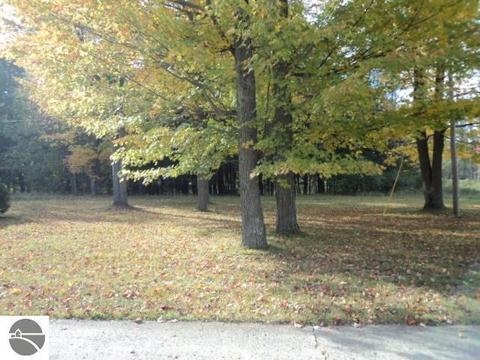 7379 W Dyer Rd, Twining, MI 48766 photo 2