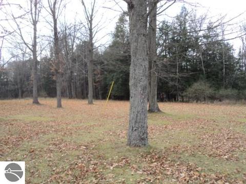 7379 W Dyer Rd, Twining, MI 48766 photo 13