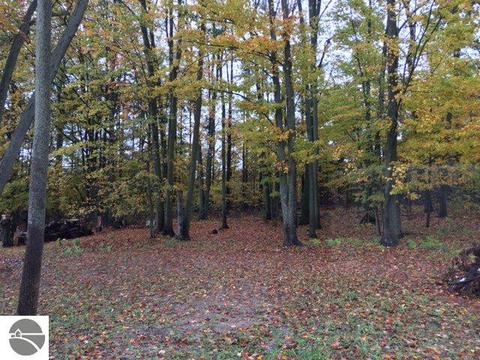 4159 Edwin Blvd, Grawn, MI 49637 photo 23
