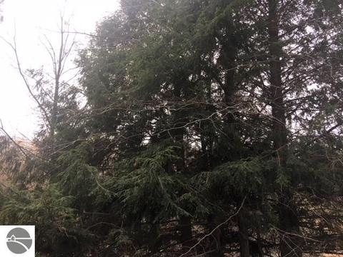 4828 E 12 12 Rd, Manton, MI 49663 photo 8