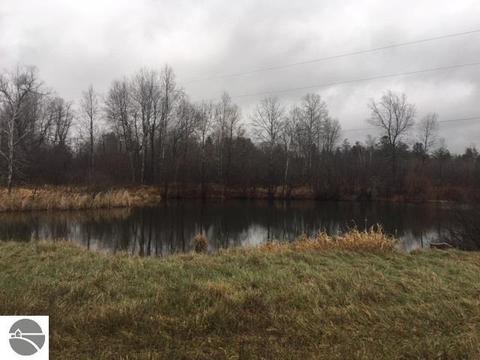 4828 E 12 12 Rd, Manton, MI 49663 photo 2