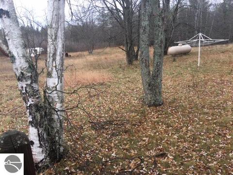 4828 E 12 12 Rd, Manton, MI 49663 photo 9