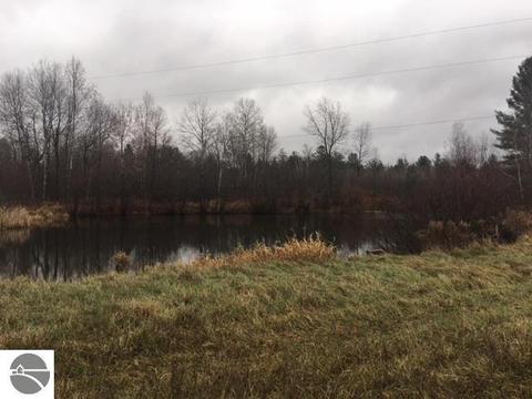 4828 E 12 12 Rd, Manton, MI 49663 photo 6
