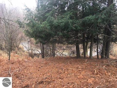 4828 E 12 12 Rd, Manton, MI 49663 photo 7