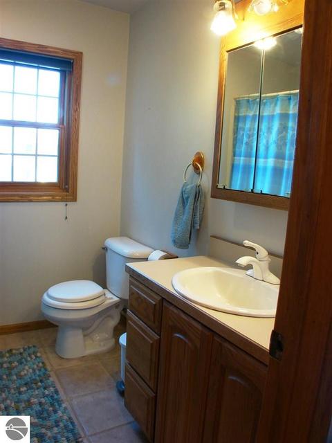 149 S Alger Rd, Ithaca, MI 48847 photo 25