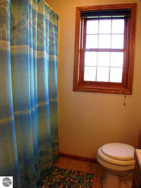 149 S Alger Rd, Ithaca, MI 48847 photo 23