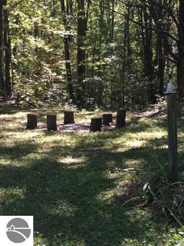 2250 E Ash Rd, Farwell, MI 48622 photo 22