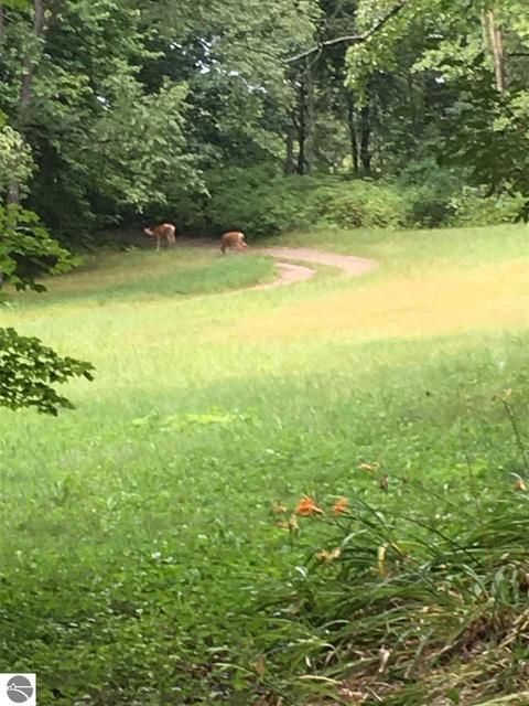 2250 E Ash Rd, Farwell, MI 48622 photo 3