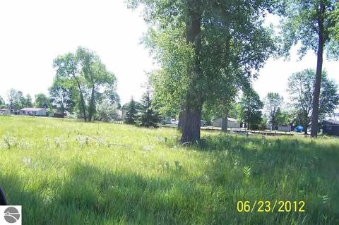 N/a Lola Lane, Au Gres, MI 48703 photo 2