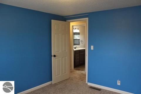 603 N Union St, Ithaca, MI 48847 photo 20