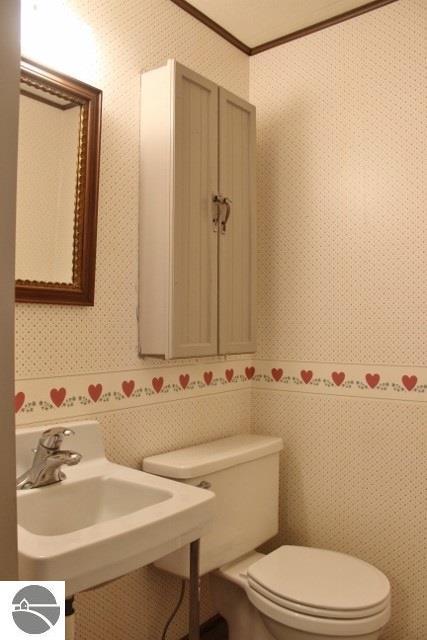 603 N Union St, Ithaca, MI 48847 photo 27