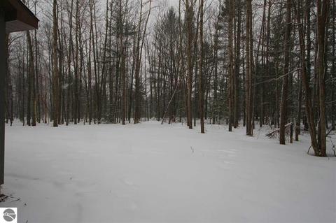 1607 Round Lake Rd, Interlochen, MI 49643 photo 4