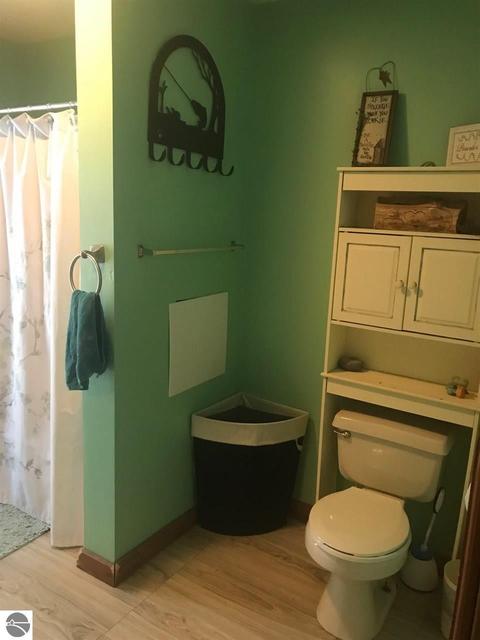112 S Maple St, Manton, MI 49663 photo 44