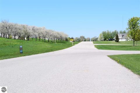 7862 E Longbranch Cir, Cedar, MI 49621 photo 10