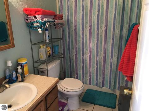 3718 E Millbrook Rd, Mount Pleasant, MI 48858 photo 11