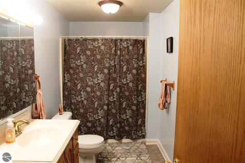 411 Emerson St, Ithaca, MI 48847 photo 3