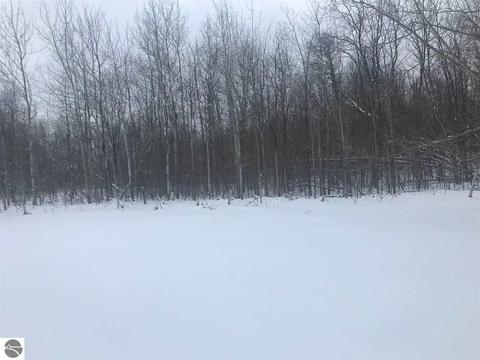 1603 Compton Ct, Grawn, MI 49637 photo 34