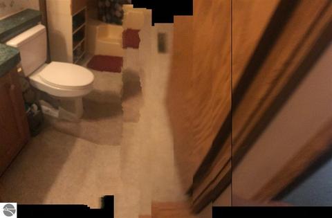 1603 Compton Ct, Grawn, MI 49637 photo 9