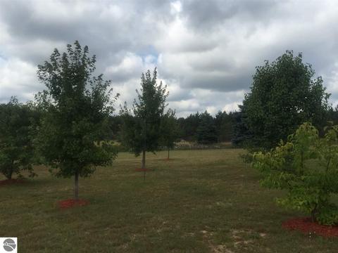 1713 E 16 Rd, Mesick, MI 49668 photo 86