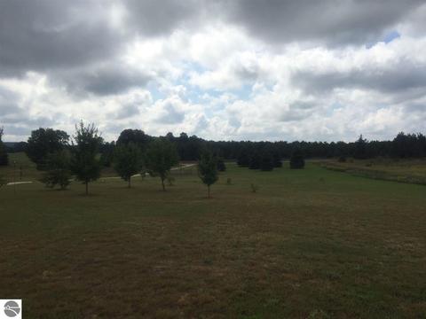 1713 E 16 Rd, Mesick, MI 49668 photo 67