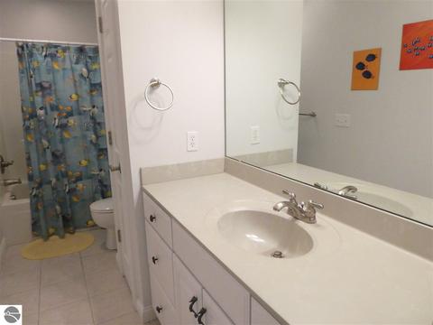 325 Red Maple Ln, Shepherd, MI 48883 photo 39