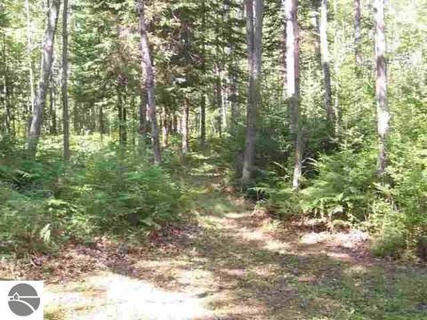 3711 E Sage Lake Rd, Lupton, MI 48635 photo 4