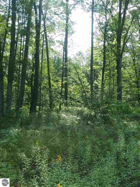 3711 E Sage Lake Rd, Lupton, MI 48635 photo 2