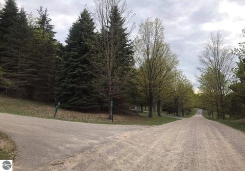 6100 E Hackett Dr, Cedar, MI 49621 photo 4